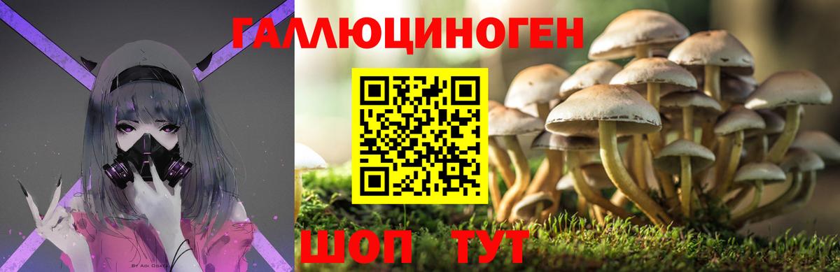 Галлюциногенные грибы Cubensis  Псилоцибиновые грибы мицелий  Вход с VPN  Моздок 